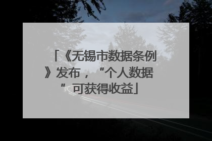 《无锡市数据条例》发布，“个人数据”可获得收益