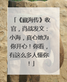 《藏海传》收官，肖战发文：小海，真心地为你开心！你看，有这么多人懂你！