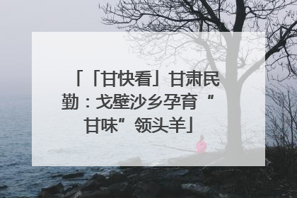 「甘快看」甘肃民勤：戈壁沙乡孕育“甘味”领头羊