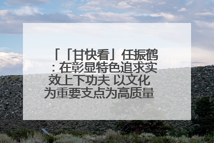 「甘快看」任振鹤：在彰显特色追求实效上下功夫 以文化为重要支点为高质量发展增添动能