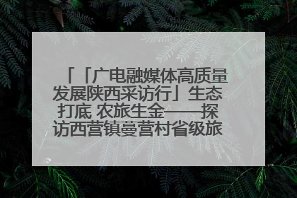 「广电融媒体高质量发展陕西采访行」生态打底 农旅生金——探访西营镇蔓营村省级旅游示范村的振兴密码