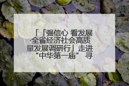 「强信心 看发展·全省经济社会高质量发展调研行」走进“中华第一庙” 寻根伏羲 祭祖龙城