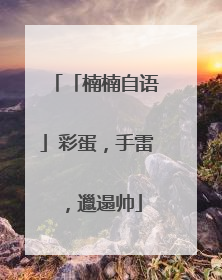 「楠楠自语」彩蛋，手雷，邋遢帅