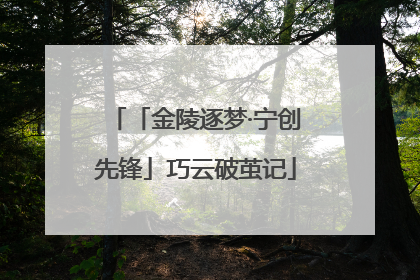 「金陵逐梦·宁创先锋」巧云破茧记