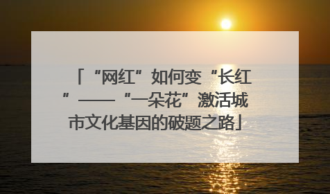 “网红”如何变“长红”——“一朵花”激活城市文化基因的破题之路