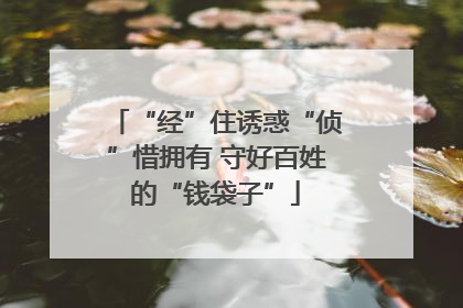 “经”住诱惑“侦”惜拥有 守好百姓的“钱袋子”