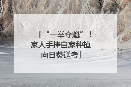 “一举夺魁”！家人手捧自家种植向日葵送考