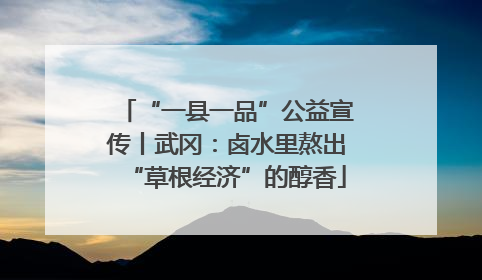 “一县一品”公益宣传丨武冈：卤水里熬出“草根经济”的醇香