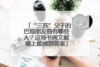 “三苏”父子的巴蜀朋友圈有哪些人？这场书画文献展上能找到答案