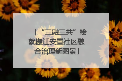 “三融三共”绘就搬迁安置社区融合治理新图景