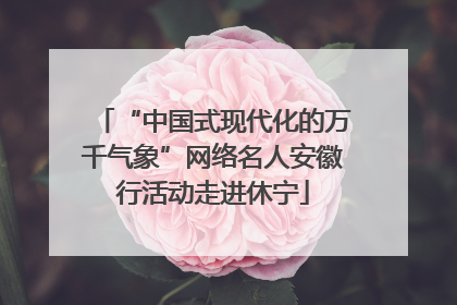 “中国式现代化的万千气象”网络名人安徽行活动走进休宁