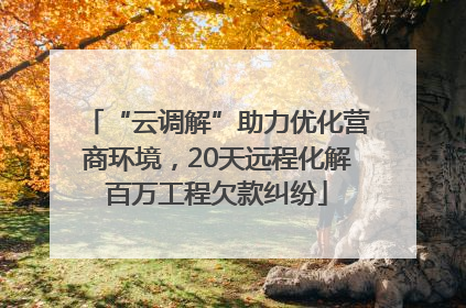 “云调解”助力优化营商环境，20天远程化解百万工程欠款纠纷