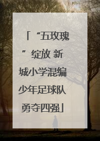 “五玫瑰”绽放 新城小学混编少年足球队勇夺四强