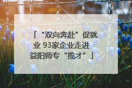 “双向奔赴”促就业 93家企业走进益阳师专“揽才”