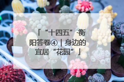 “十四五”·衡阳答卷④｜身边的宜居“花园”