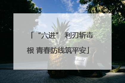 “六进” 利刃斩毒根 青春防线筑平安