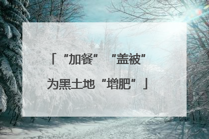 “加餐”“盖被” 为黑土地“增肥”