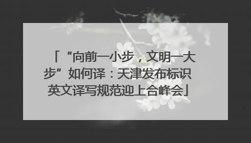 “向前一小步，文明一大步”如何译：天津发布标识英文译写规范迎上合峰会