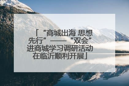 “商城出海 思想先行”——“双会”进商城学习调研活动在临沂顺利开展