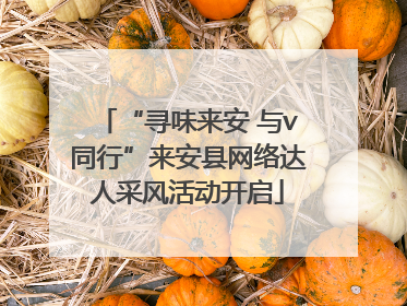 “寻味来安 与v同行”来安县网络达人采风活动开启