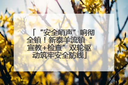 “安全哨声”响彻全镇！新泰羊流镇“宣教+检查”双轮驱动筑牢安全防线