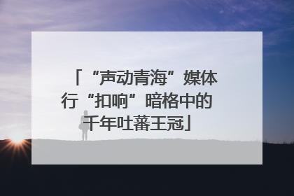 “声动青海”媒体行“扣响”暗格中的千年吐蕃王冠