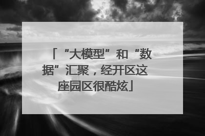 “大模型”和“数据”汇聚，经开区这座园区很酷炫