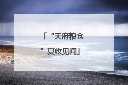 “天府粮仓”夏收见闻