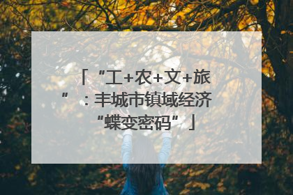 “工+农+文+旅”：丰城市镇域经济“蝶变密码”