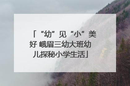 “幼”见“小”美好 峨眉三幼大班幼儿探秘小学生活