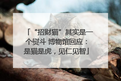 “招财猫”其实是一个熨斗 博物馆回应：是猫是虎，见仁见智