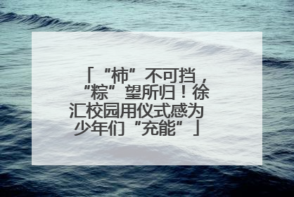 “柿”不可挡，“粽”望所归！徐汇校园用仪式感为少年们“充能”
