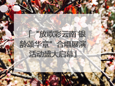 “放歌彩云南 银龄颂华章”合唱展演活动盛大启幕