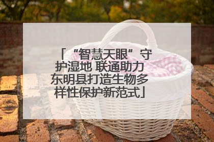 “智慧天眼”守护湿地 联通助力东明县打造生物多样性保护新范式