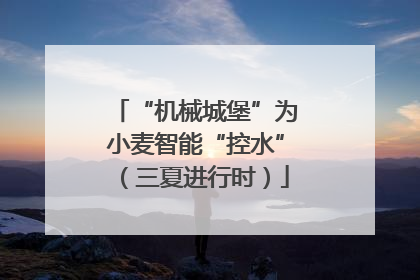 “机械城堡”为小麦智能“控水”（三夏进行时）