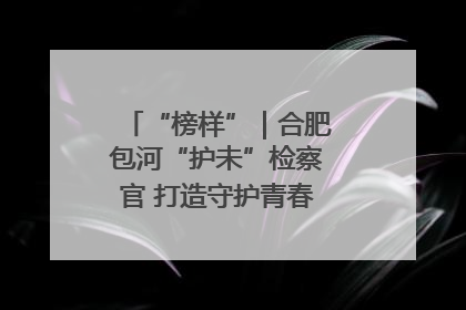 “榜样”｜合肥包河“护未”检察官 打造守护青春成长的永恒灯塔