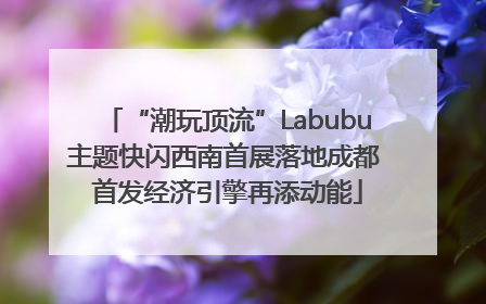 “潮玩顶流”Labubu主题快闪西南首展落地成都 首发经济引擎再添动能