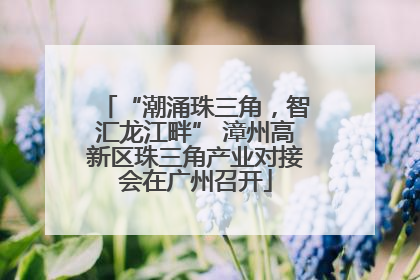 “潮涌珠三角，智汇龙江畔” 漳州高新区珠三角产业对接会在广州召开