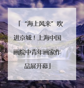 “海上风来”吹进京城！上海中国画院中青年画家作品展开幕