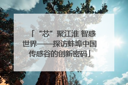 “芯”聚江淮 智感世界——探访蚌埠中国传感谷的创新密码