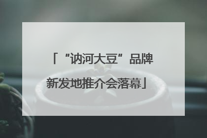 “讷河大豆”品牌新发地推介会落幕