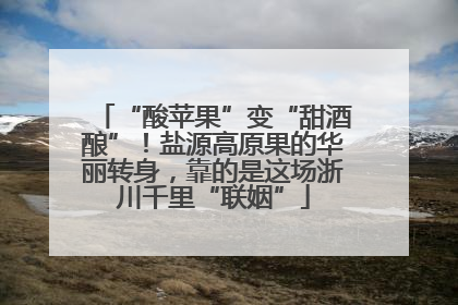 “酸苹果”变“甜酒酿”！盐源高原果的华丽转身，靠的是这场浙川千里“联姻”