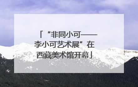 “非同小可——李小可艺术展”在西藏美术馆开幕