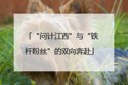 “问计江西”与“铁杆粉丝”的双向奔赴