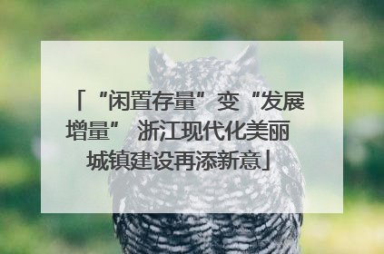 “闲置存量”变“发展增量” 浙江现代化美丽城镇建设再添新意
