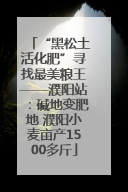“黑松土活化肥”寻找最美粮王——濮阳站：碱地变肥地 濮阳小麦亩产1500多斤