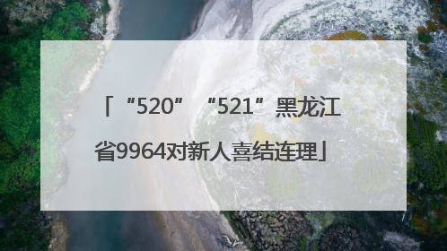 “520”“521”黑龙江省9964对新人喜结连理