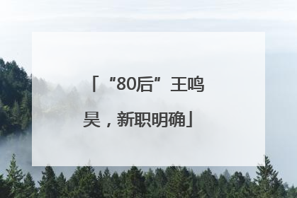 “80后”王鸣昊，新职明确
