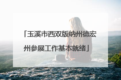 玉溪市西双版纳州德宏州参展工作基本就绪
