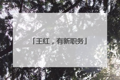 王红，有新职务